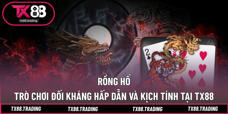 Rồng Hổ